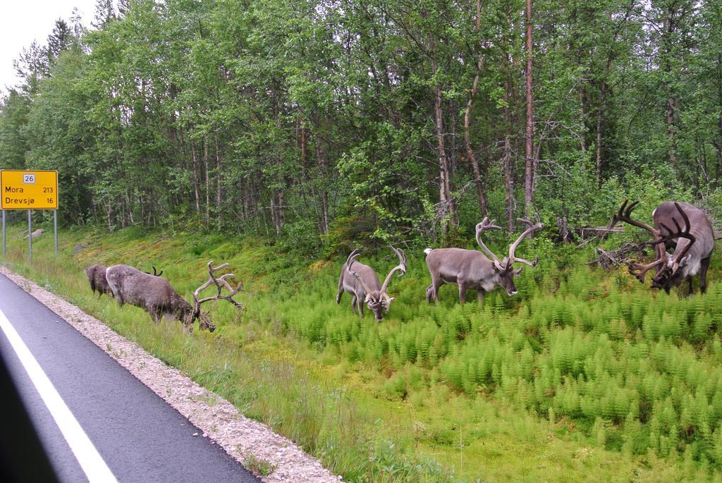Trysil Alpin 16A Top Location Ngoại thất bức ảnh