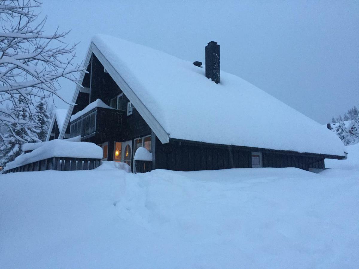 Trysil Alpin 16A Top Location Ngoại thất bức ảnh